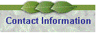Contact Information